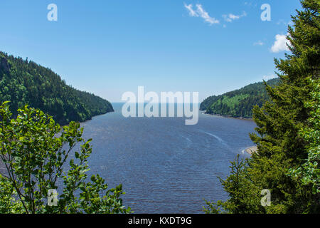 Blick auf den Atlantischen Ozean und die Bucht von Fundy von Fundy National Park, New Brunswick, Kanada Stockfoto