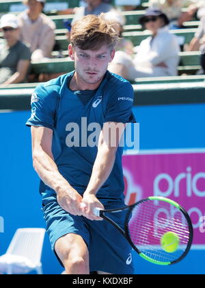 Melbourne, Australien - 9. Januar 2018: Tennis Spieler David Goffin Vorbereitung auf die Australian Open am Kooyong Classic Ausstellung Turnier Stockfoto