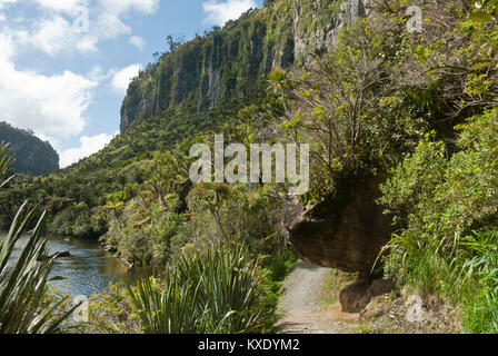 Die beeindruckenden Dolomiten Felsen und Pflanzen entlang der Pike 29 Memorial, Paporoa Poraron Fluss, Nationalparks, Punakaki, Neuseeland. Stockfoto