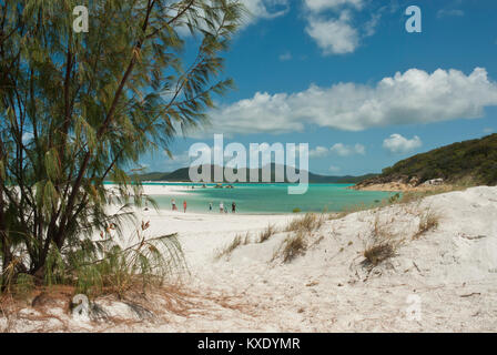 Unberührte weiße Sand von Whitehaven Beach, Cairns, Queensland mit erstaunlichen smaragdgrünen Meer, Coral Sea, blauer Himmel und die Menschen in der Ferne baden. Stockfoto