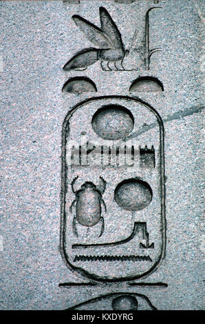 Alten Ägyptischen Hieroglyphen oder hieroglyphischen Inschriften und Symbole auf dem antiken ägyptischen Obelisk (1549-03), auf der Reitbahn, Istanbul, Türkei. Die Symbole gehören Brötchen, ein See, ein skarabäus Käfer, und Wasser. Stockfoto