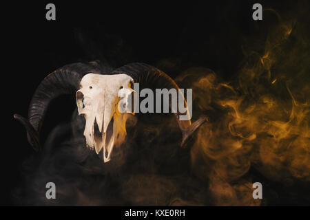 Echten ram Schädel mit Hörner auf Gelb smoky Hintergrund, Halloween Theme Stockfoto