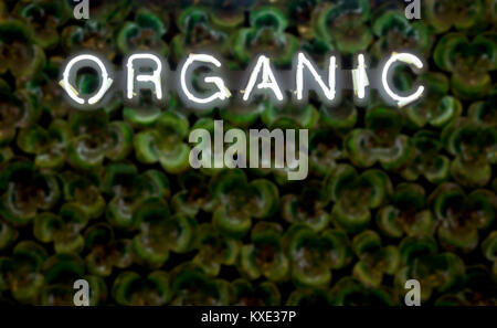 Neon röhre Zeichen des Wortes organische auf einem keramischen floral background Stockfoto