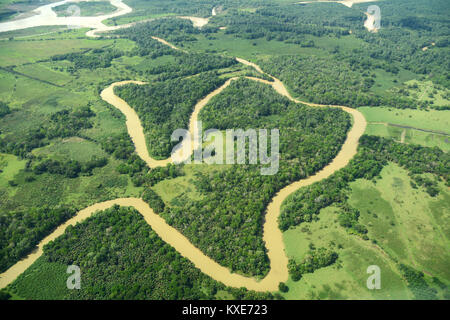 Eine Luftaufnahme der mäandernden Fluss Sierpe, kurz bevor es mündet in den Pazifischen Ozean im Süden von Costa Rica. Stockfoto