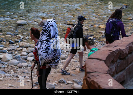 Eine Szene am Flußufer zu Fuß in Zion Canyon Stockfoto