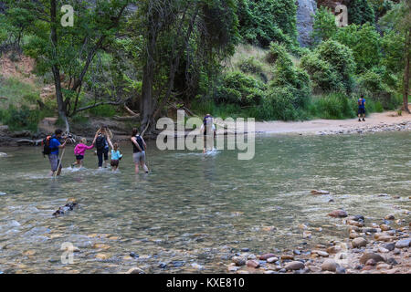 Wanderer überqueren Sie den Virgin River in der Nähe des berüchtigten Narrows in Zion Canyon Stockfoto