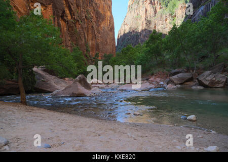 Eine Szene am Flußufer zu Fuß in Zion Canyon