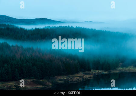 Nebel über dem Wald am Loch Mudle, Ardnamurchan in Lochaber, Schottland. 25. Dezember 2017. Stockfoto