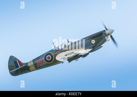 HF Spitfire Mk VIIIc MV 154 (D-FEUR) Stockfoto