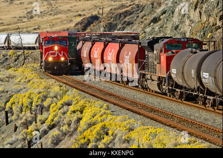 CN Rail gemischten Güterzug Richtung Osten geführt von Lok 2273 geht ein weiterer Fracht in Savona Abstellgleis entlang Kamloops Lake-BC 20101006 Stockfoto