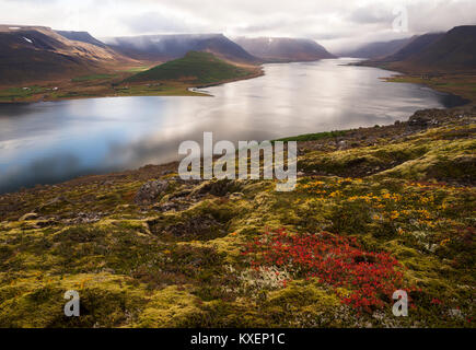 Herbstliche Atmosphäre am Fjord Dýrafjörður, Westfjorde, Island Stockfoto