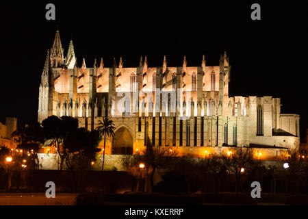 Nacht Blick auf Palma de Mallorca Kathedrale La Seu, aus dem Hafen. Palma De Mallorca, Spanien Stockfoto