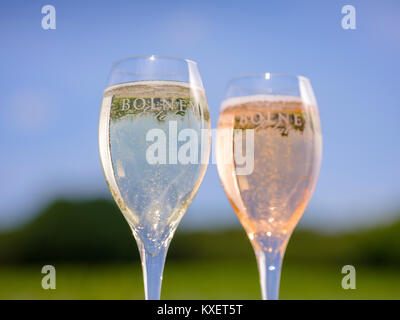 Bolney Weingut in der Nähe von Haywards Heath, West Sussex. Stockfoto