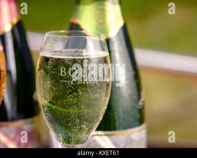 Bolney Weingut in der Nähe von Haywards Heath, West Sussex. Stockfoto