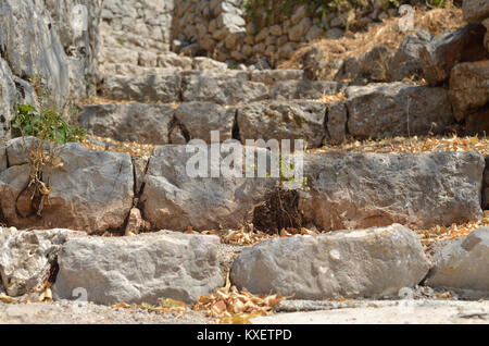 Rustikales Dorf Stein Treppe verlassen und mit trockenem Gras im Sommer überwuchert Stockfoto