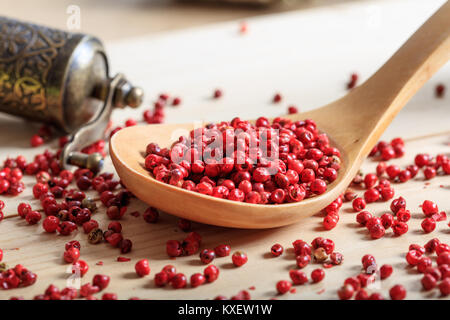 Red Pepper Samen in einem Löffel aus Holz Stockfoto