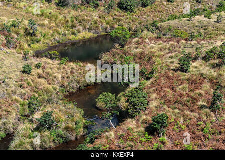 Straße, die zu den Horton Plains, Sri Lanka Stockfoto