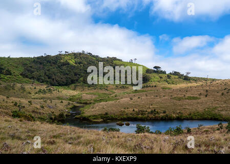 Straße, die zu den Horton Plains, Sri Lanka Stockfoto