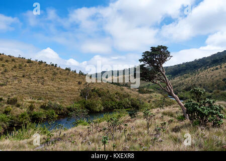 Straße, die zu den Horton Plains, Sri Lanka Stockfoto