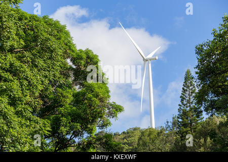 Windkraftanlage zwischen Bäumen auf einem Hügel in Hawaii Versorgung erneuerbare nachhaltige Strom und Energie aus der Umwandlung der kinetischen Energie der t Stockfoto