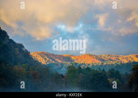 Sonnenaufgang in Cataloochee Tal Stockfoto