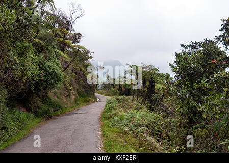 Straße, die zu den Horton Plains, Sri Lanka Stockfoto