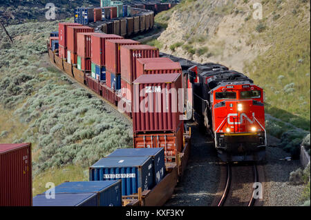 CNR Kohlenzug geführt von Loco 8964 eastbound Pässe intermodalen Zug in Savona Abstellgleis BC 20110710 Stockfoto