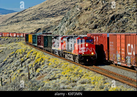 CN Rail gemischten Güterzug Richtung Osten geführt von Lok 2273 geht ein weiterer Fracht in Savona Abstellgleis entlang Kamloops Lake - BC 20101006 Stockfoto