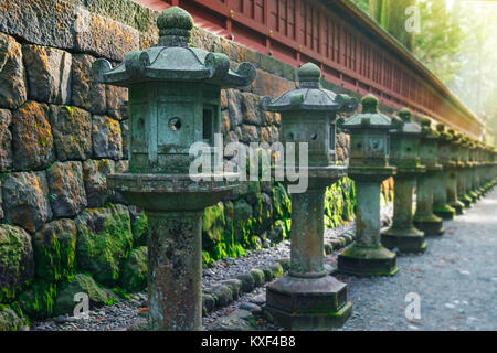 Steinlaternen auf der Seite der Toshogu Schrein, Futarasan Schrein in Nikko, Tochigi, Japan NIKKO, Japan - 17. NOVEMBER 2015 Leitung: Steinlaternen Stockfoto