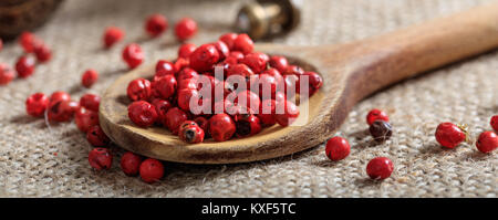 Red Pepper Samen in einem Löffel aus Holz Stockfoto