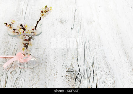 Blühende Aprikose Niederlassungen in eine Vase aus Glas in den verschwommen weiß Holz- Hintergrund. Licht Farben Foto Stockfoto