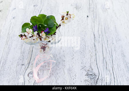 Filiale der blühenden Aprikose und violette Blumen in einer Vase aus Glas in den verschwommen weiß Holz- Hintergrund. Licht Farben Foto Stockfoto