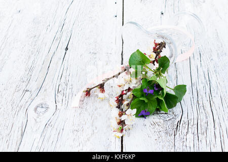 Filiale der blühenden Aprikose und violette Blumen in einer Vase aus Glas auf ein verschwommenes weiß Holz- Hintergrund umgeworfen. Licht Farben Foto Stockfoto