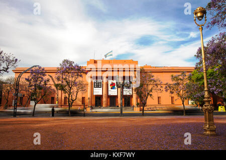 Die Hauptfassade des 'Museo Nacional de Bellas Artes' im Frühling mit Jacaranda-Bäumen. Recoleta, Buenos Aires, Argentinien. Stockfoto