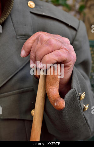 Hand der ältere Mann mit der Oberseite des walking stick Stockfoto