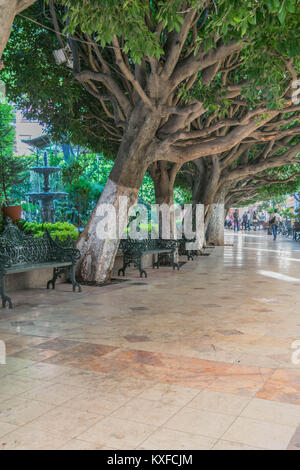 Center Park gegenüber vom Teatro Juarez, mit Fliesen Gehweg, Springbrunnen, grün Eisen Bänke und Baumstämmen entlang der Bahn, in Guanajuato, Mexiko Stockfoto