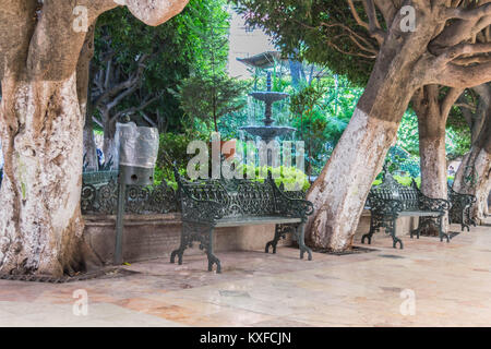 Center Park gegenüber vom Teatro Juarez, mit Fliesen Gehweg, Springbrunnen, grün Eisen Bänke und Baumstämmen entlang der Bahn, in Guanajuato, Mexiko Stockfoto