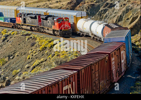 CN Rail intermodalen Zug Richtung Osten geführt von Lok 8006 geht ein weiterer Fracht in Savona Abstellgleis entlang Kamloops Lake - BC 20101006 Stockfoto