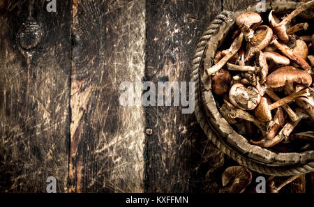 Frische Honig blätterpilze in einem hölzernen Löffel. Auf einer hölzernen Hintergrund. Stockfoto