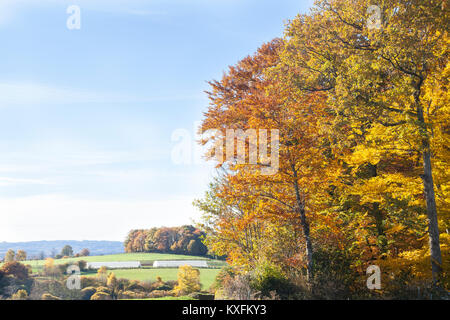 Creuse, Nouvelle-Aquitaine, Frankreich, Landschaft im Herbst mit bunten Buche und Misty rolling hills Stockfoto