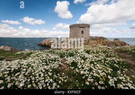 Ansicht der Martello Tower fon der Insel Irland's Auge vor der Küste von Dublin an der Ostküste von Irland Stockfoto