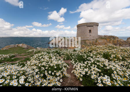 Ansicht der Martello Tower fon der Insel Irland's Auge vor der Küste von Dublin an der Ostküste von Irland Stockfoto