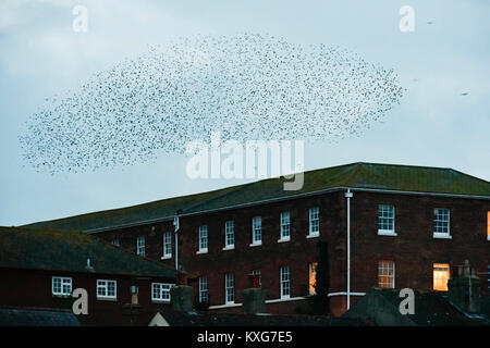 Dorchester, Dorset, Großbritannien. 9. Januar 2018. Starling Murmurations mit Tausenden von Vögel in den Himmel über Weymouth in Dorset an der Dämmerung. Foto: Graham Jagd-/Alamy Leben Nachrichten. Stockfoto