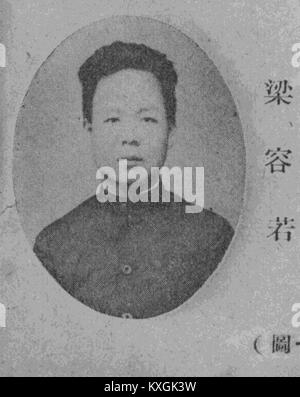 Unklare oder unvollständige Titel verhindern eine vollständige kontextbezogene Analyse oder Identifikation. Zusätzliche Daten, die zur Interpretation der Bedeutung erforderlich sind. Stockfoto