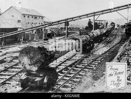 Dieser Artikel bezieht sich auf eine Publikation oder ein Dokument vom 8. November 1923 mit dem Titel Insert 6a, die eine historische Aufzeichnung aus dem frühen 20. Jahrhundert darstellt. Stockfoto