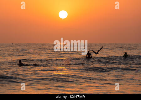 Surfer sind gegen die untergehende Sonne über dem Ozean in Los Angeles, Kalifornien. Stockfoto