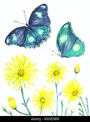 Aquarell Sammlung von Schmetterlingen mit Blumen. Abbildung eines Tieres handgefertigt. Handbemalte Insekt. Isolierte Schmetterling Muster auf einem weißen zurück Stockfoto
