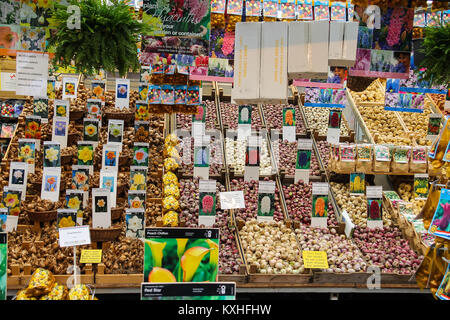 Amsterdam, Niederlande - Oktober 03, 2015: Blumensamen Shop in der Innenstadt Stockfoto