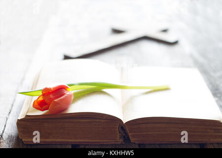 Ostern Frühling Tulpe und Bibel mit Kreuz abstrakt Hintergrund Stockfoto