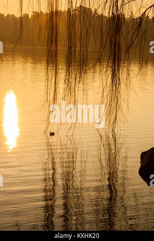 Sonnenuntergang auf der Riverside in Sesto Calende, Lago Maggiore, Ticino, Varese, Lombardei, Italien Stockfoto